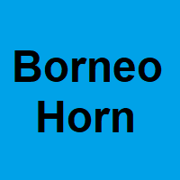 Borneo Horn - 1 Kilo - Starting at € 45,- per kilo Borneo Horn - 1 Kilo - Starting at € 45,- per kilo